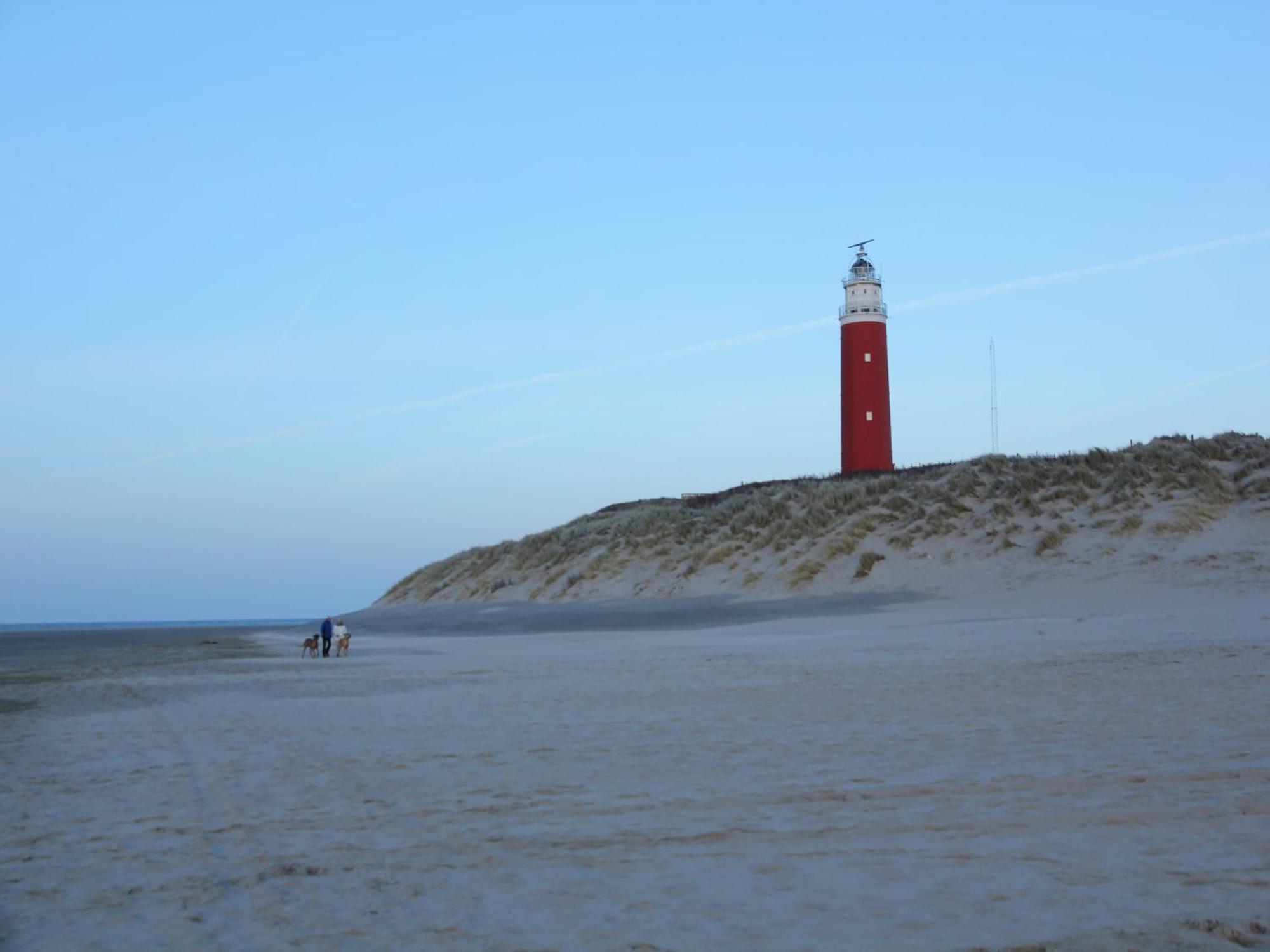 Great Holiday Home Energy Neutral On Texel With Sauna And Sun Shower Westermient Exterior photo